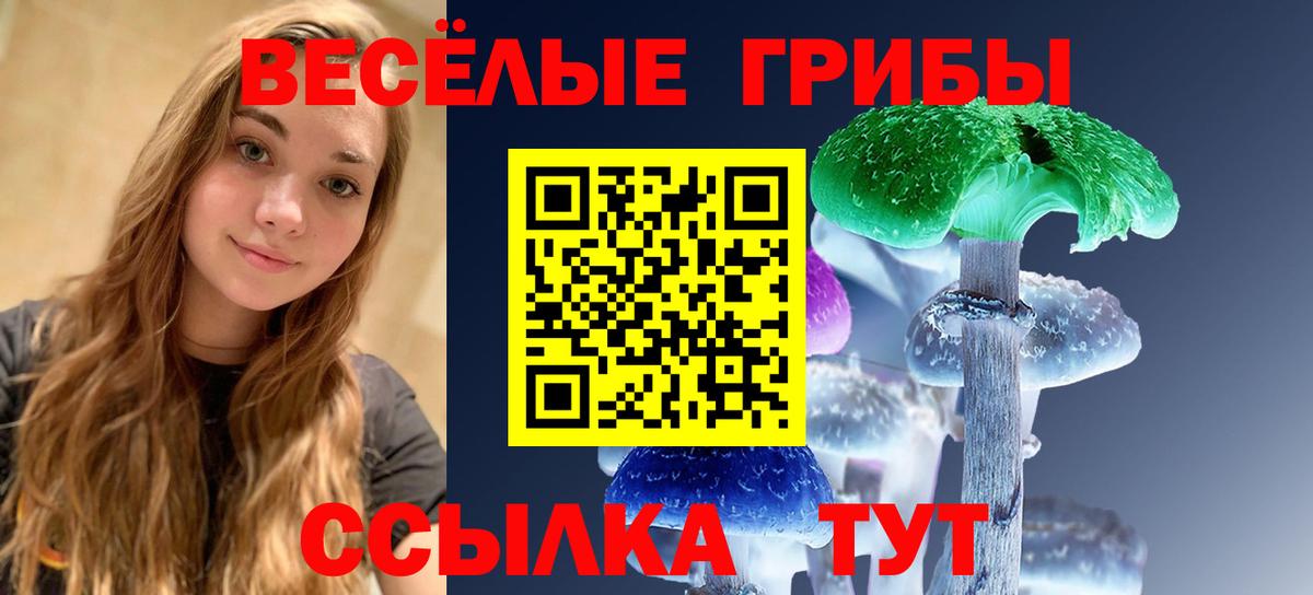 Псилоцибиновые грибы мицелий  Галлюциногенные грибы мицелий  Вход с VPN  Курганинск 